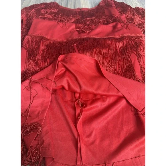 Cheryl Kaye Vintage Women's 16 Red Flapper Sleeveless‎ Tassels Fringe Dress USA - Picture 4 of 10